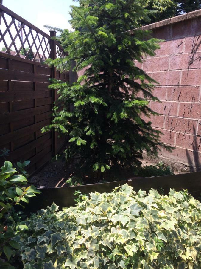 Appartement La Porta Nel Giardino à Asti Extérieur photo
