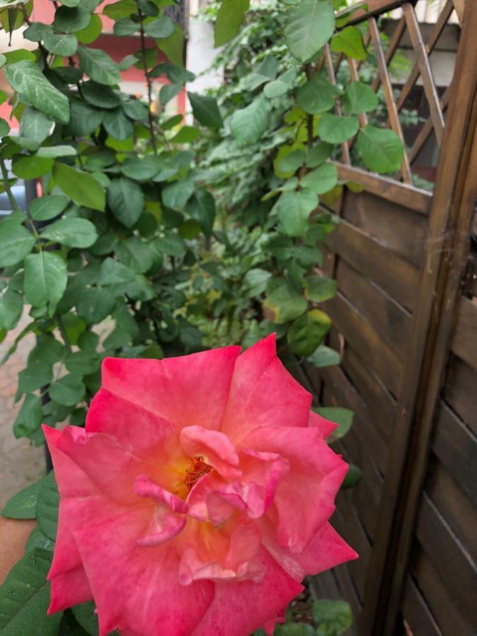 Appartement La Porta Nel Giardino à Asti Extérieur photo